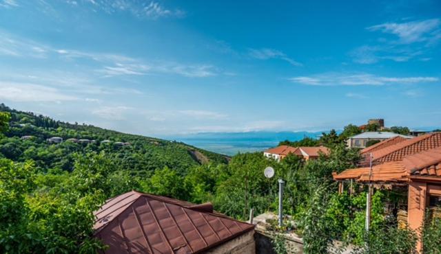 Dzveli Ubani Hotel Sighnaghi Bagian luar foto