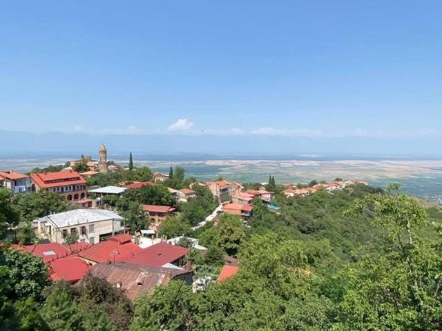 Dzveli Ubani Hotel Sighnaghi Bagian luar foto